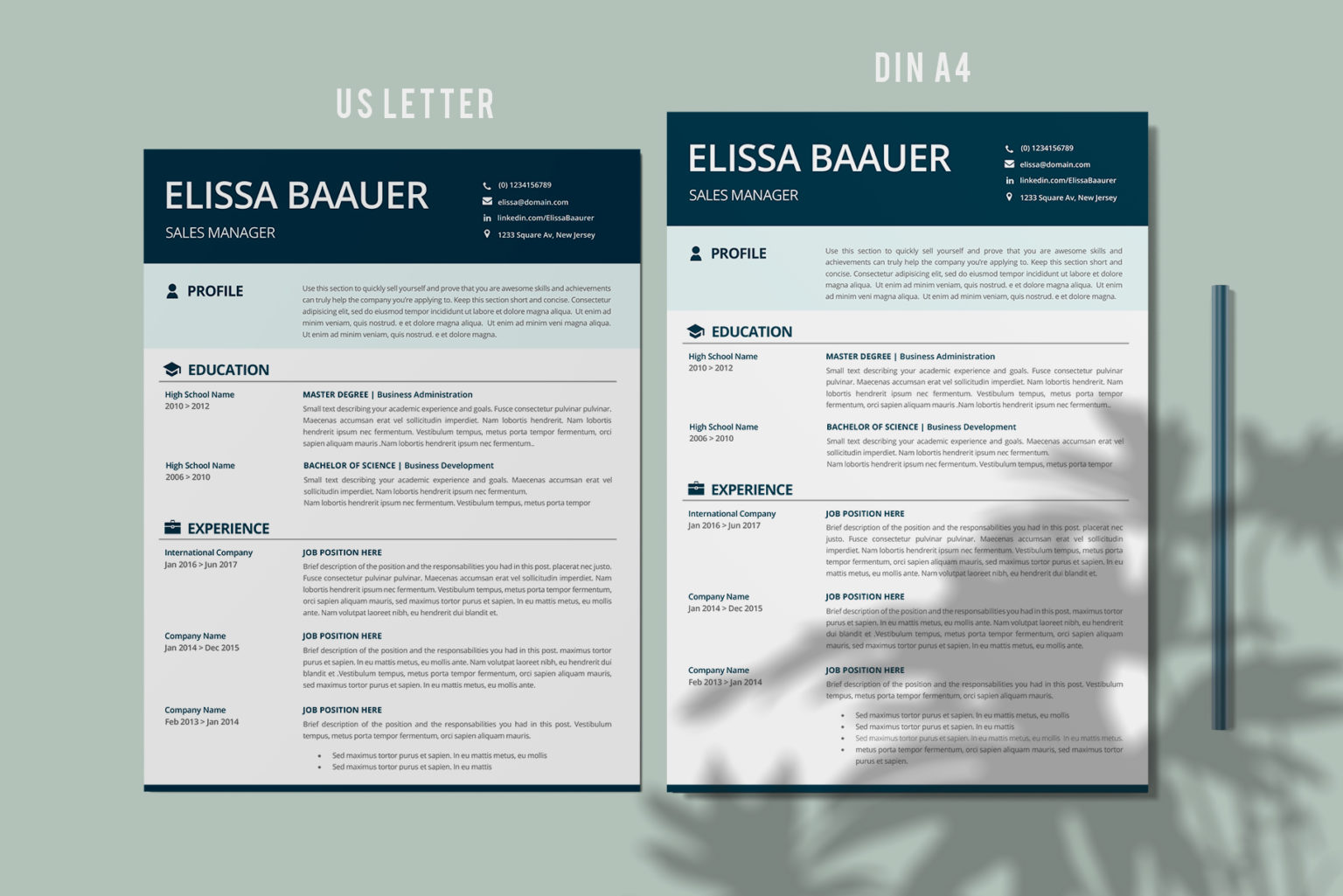 Professional Resume CV Biodata Template for MS Word or Pages - Graphicfy