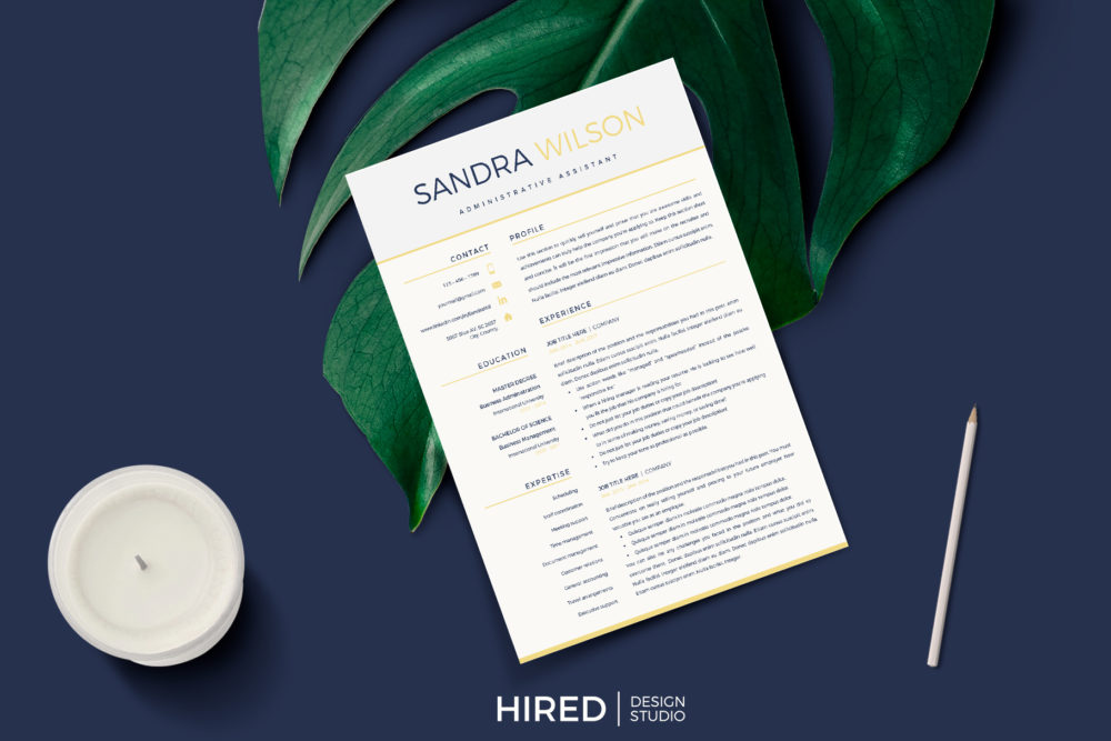 Professional Resume Template Bundle 3 in 1. Perfect CV Pack - Graphicfy