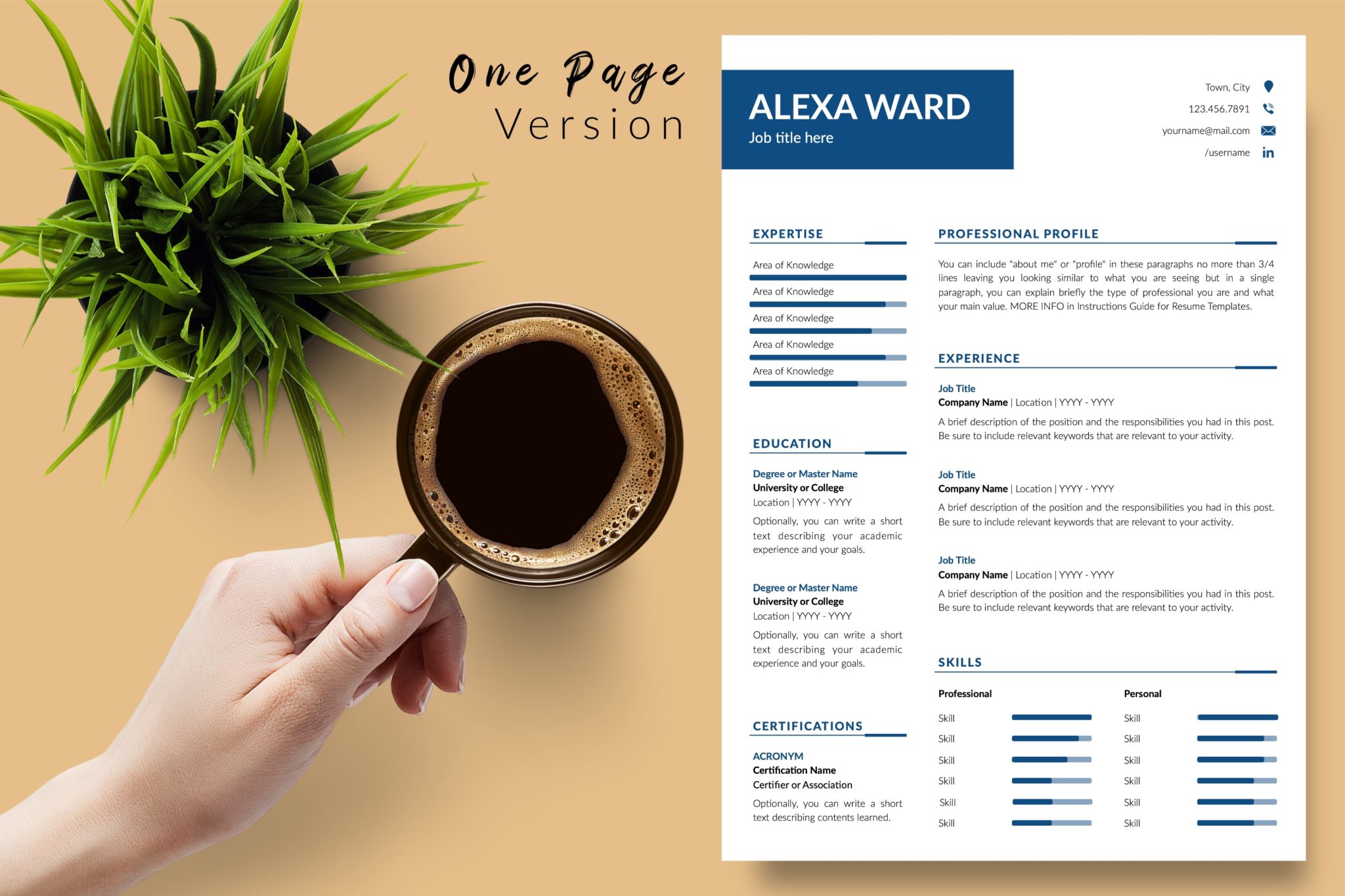 Professional Resume Format for Microsoft Word & Apple Pages - Graphicfy