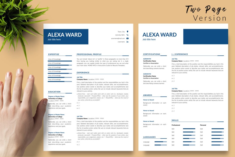 Professional Resume Format for Microsoft Word & Apple Pages - Graphicfy