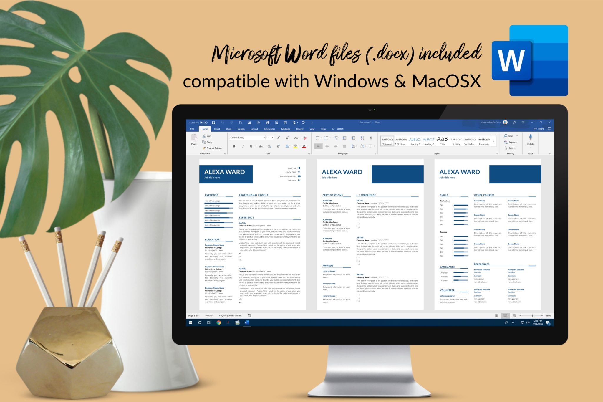 Professional Resume Format for Microsoft Word & Apple Pages - Graphicfy