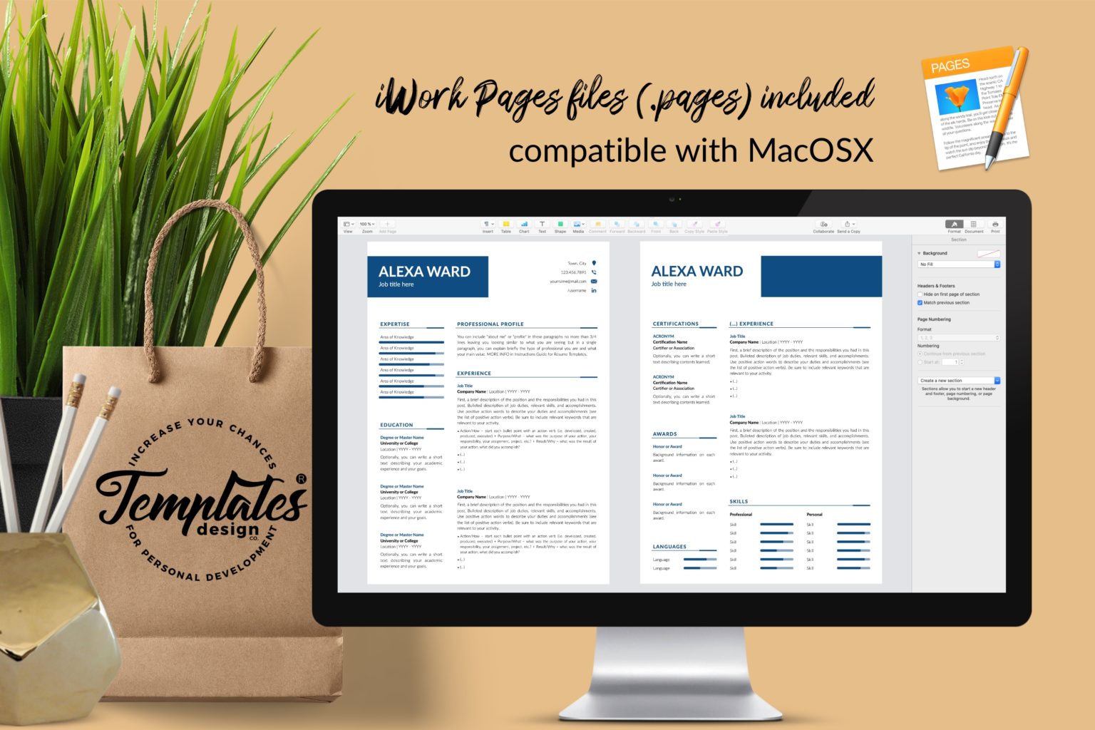 Professional Resume Format for Microsoft Word & Apple Pages - Graphicfy