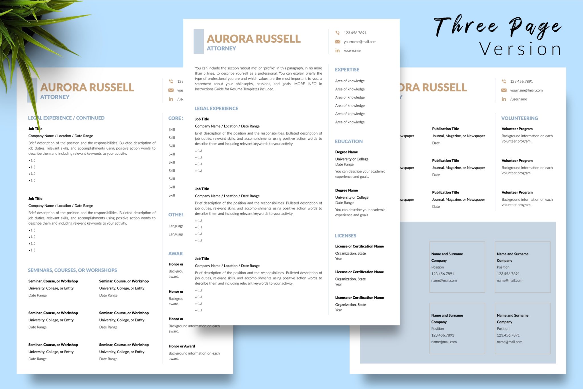 Attorney Resume Template for Microsoft Word & Apple Pages - Graphicfy