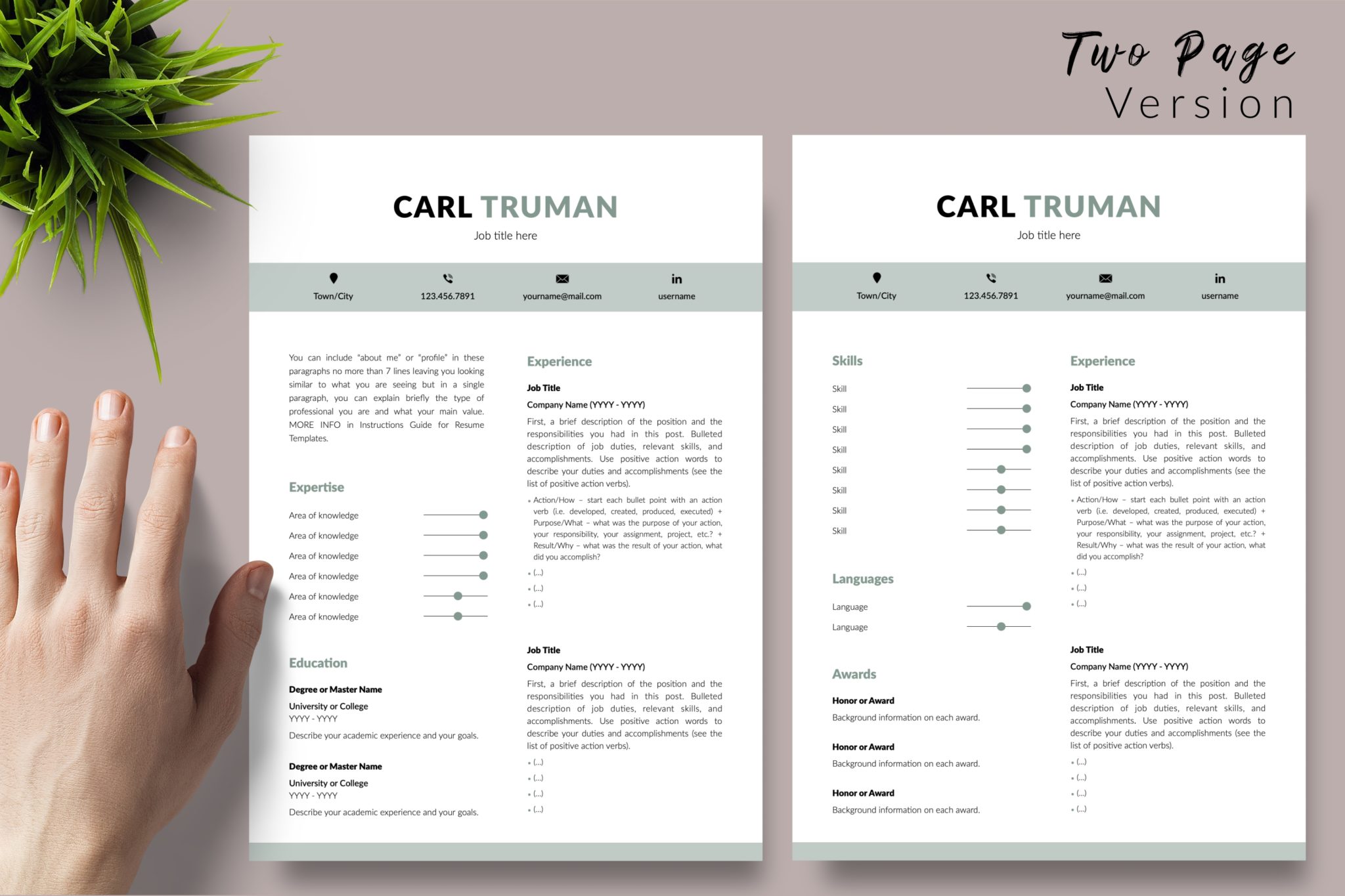Professional Resume Format for Microsoft Word & Apple Pages - Graphicfy