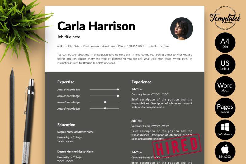 Accountant Resume Format for Microsoft Word & Apple Pages - Graphicfy
