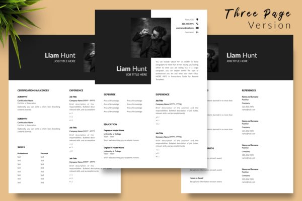Professional Resume Example for Microsoft Word & Apple Pages - Graphicfy