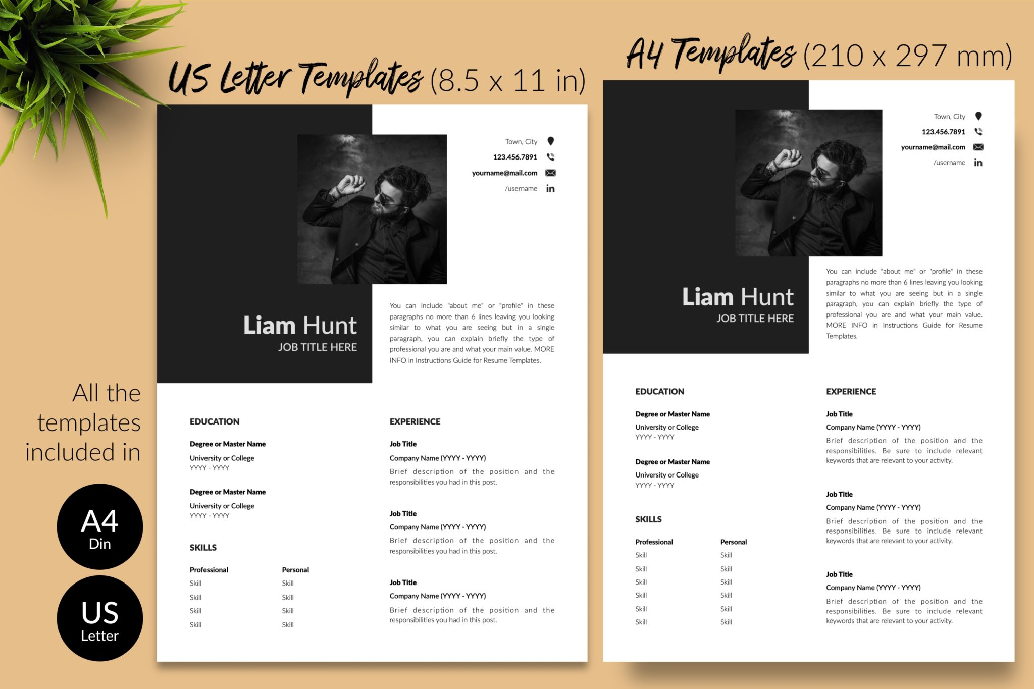 Professional Resume Example for Microsoft Word & Apple Pages - Graphicfy