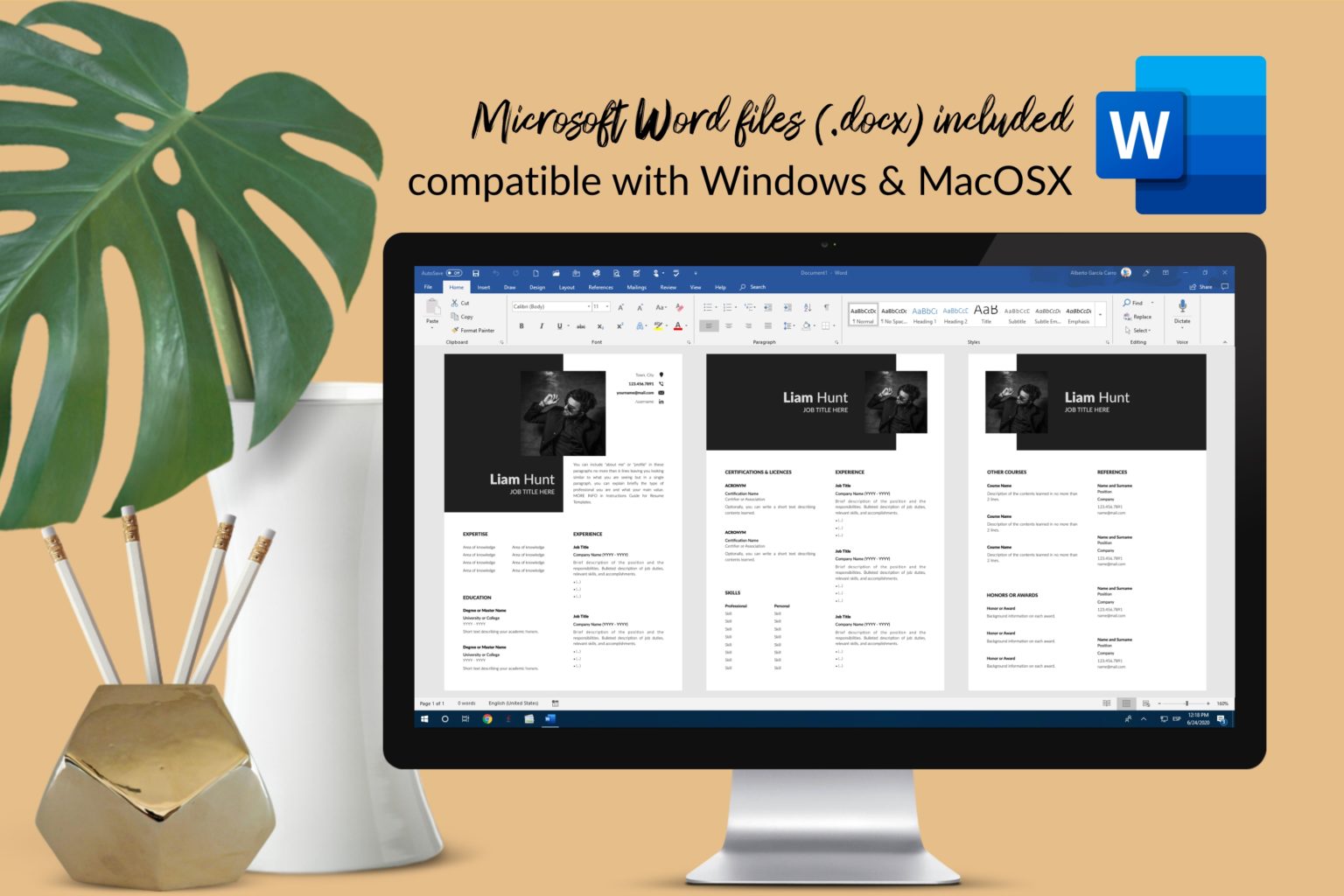 Professional Resume Example for Microsoft Word & Apple Pages - Graphicfy