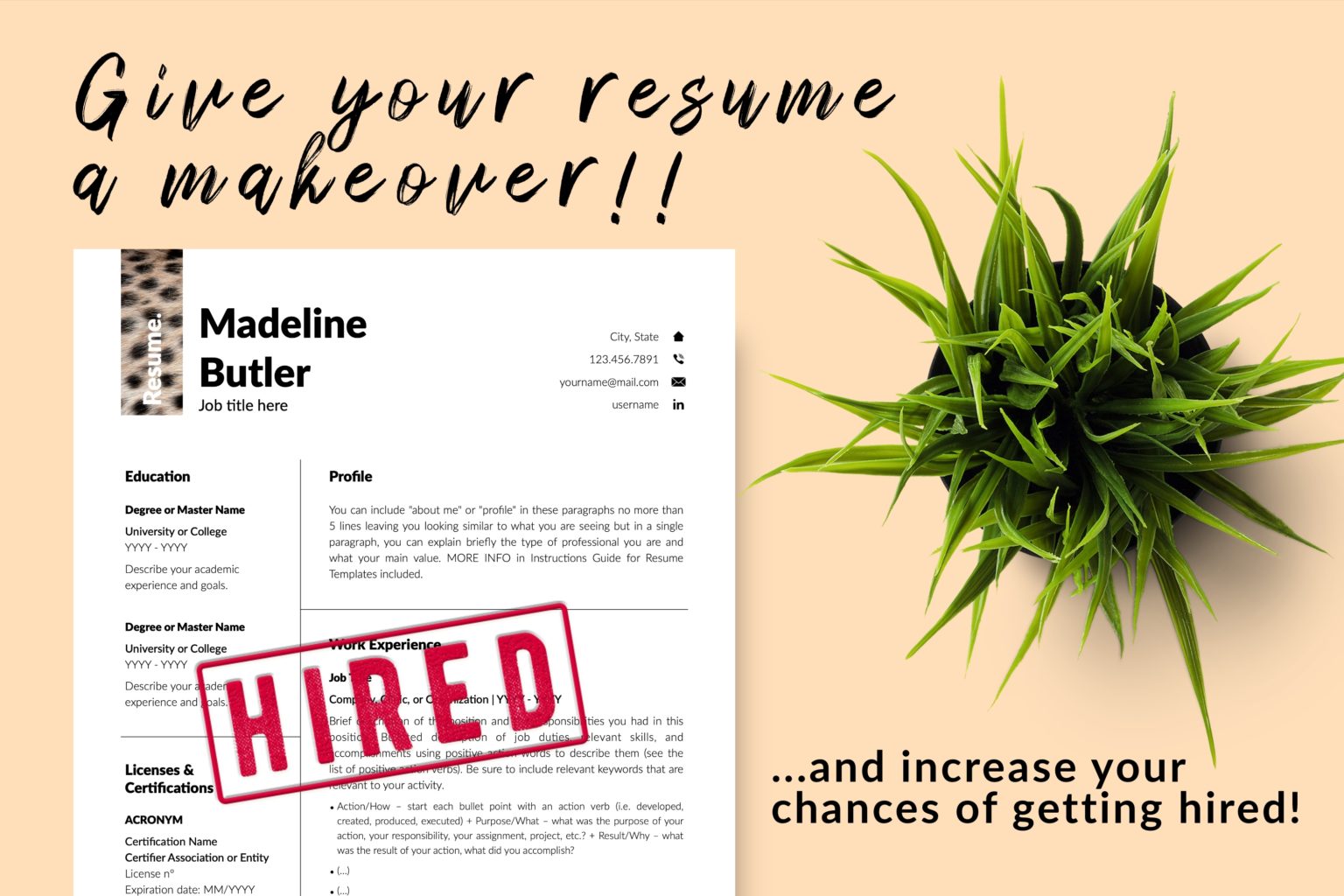 Veterinary Resume Template for Microsoft Word & Apple Pages - Graphicfy