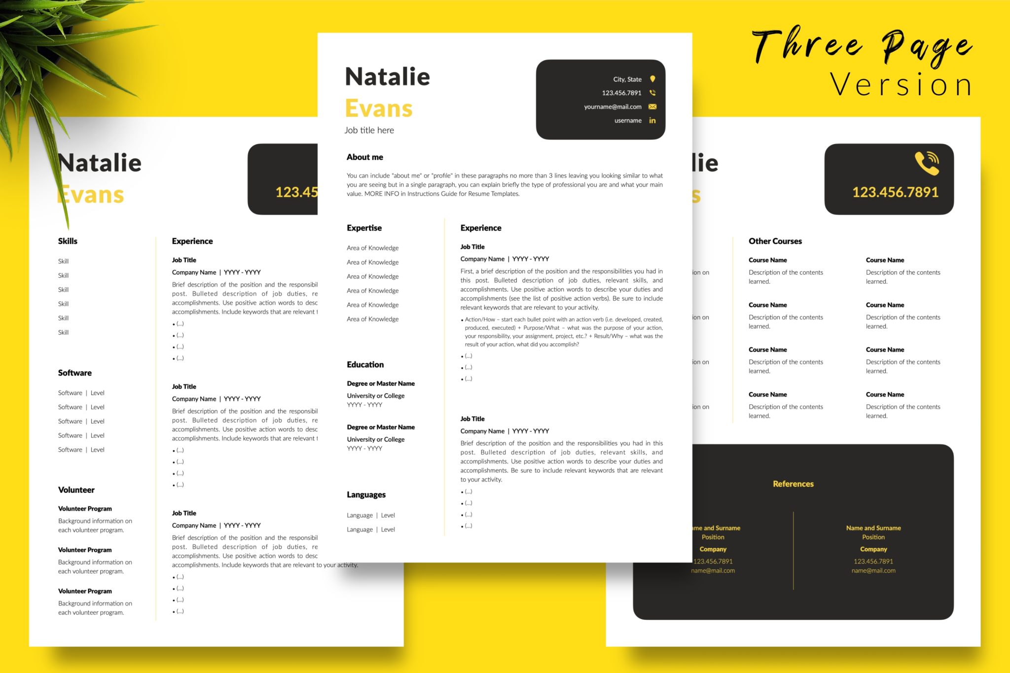Contemporary Resume Format for Microsoft Word & Apple Pages - Graphicfy