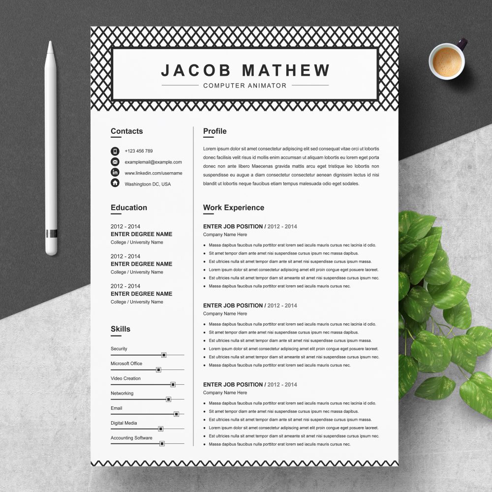 Modern Resume Template Format [Word]