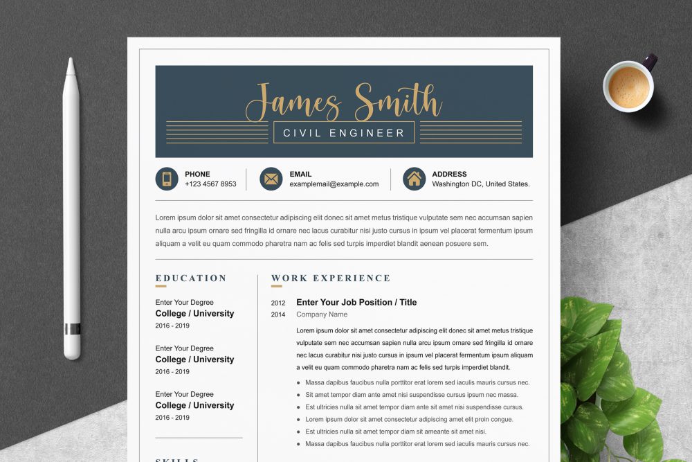 Professional, Modern Resume Design Template for Word & Pages - Graphicfy