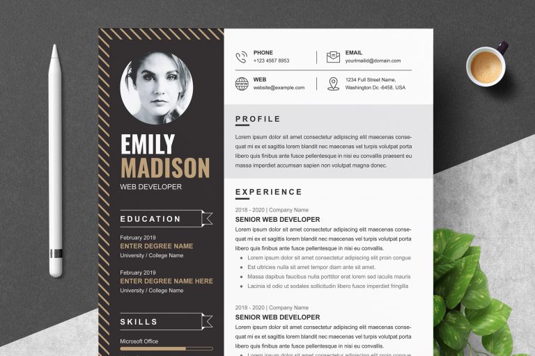 Modern Resume Template Format [Word] - Graphicfy